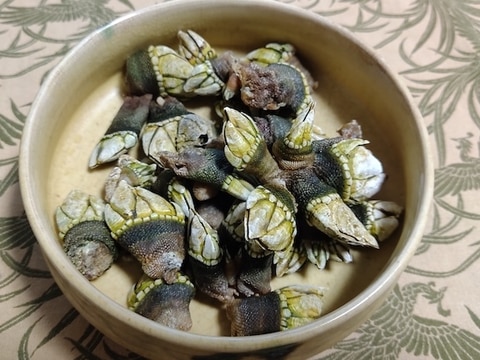 見た目は悪いが美味い カメノテ 貝 の塩茹で レシピ 作り方 By Prunaio 楽天レシピ 見た目は悪いが美味い カメノテ 貝 の塩茹で レシピ 作り方 By Prunaio 楽天レシピ